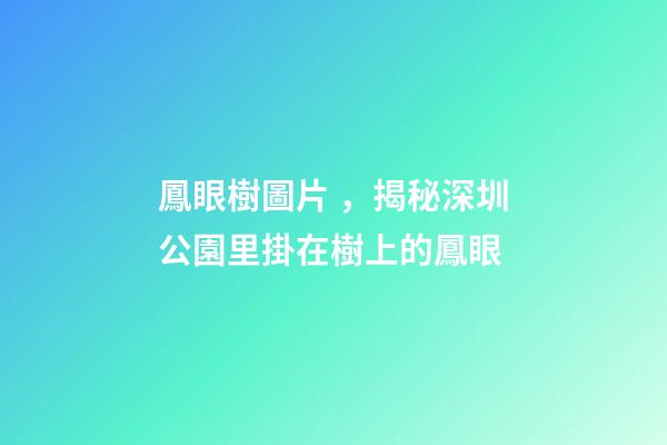 鳳眼樹圖片，揭秘深圳公園里掛在樹上的鳳眼